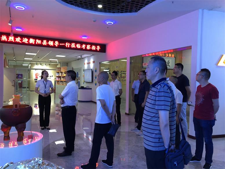 湖南省衡阳县常务副县长王苏龙一行光临UG环球官网集团调查财路大数据项目